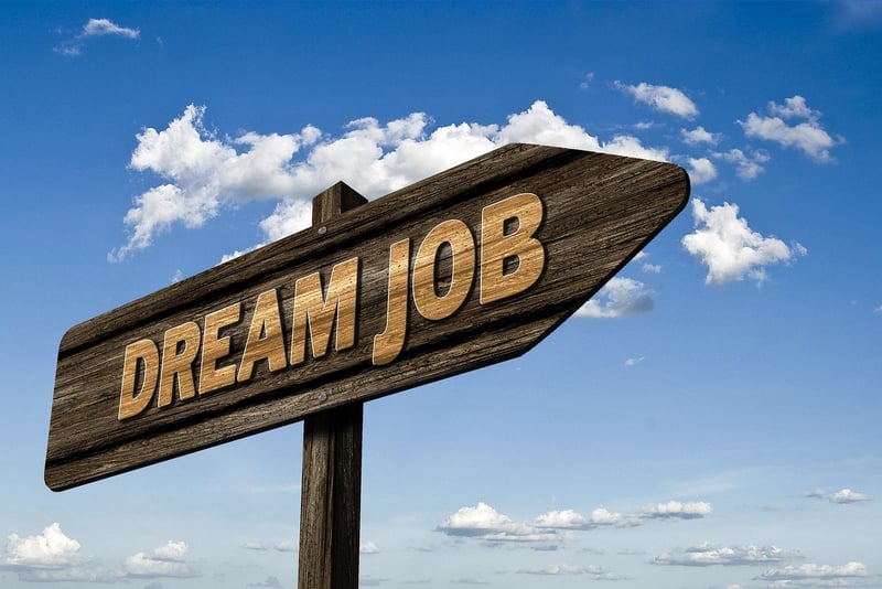 Dream Job Quest